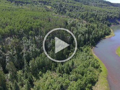 Peace River Jetboating